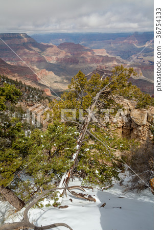 Grand Canyon Winter Landscape Grand Canyon Winter Landscape 36754133