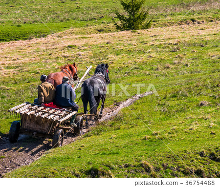 traffic in mountainous rural area in summer 36754488