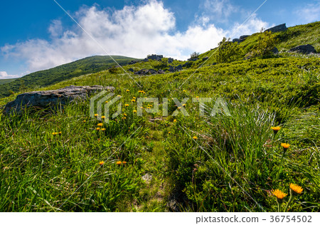 path through grassy meadow to huge boulders 36754502