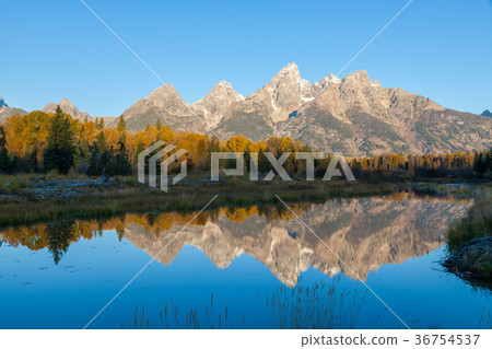 Autumn Reflection in theTetons Autumn Reflection in theTetons 36754537