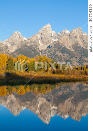Autumn Reflection in theTetons Autumn Reflection in theTetons 36754539