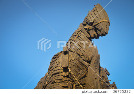 Trojan horse and blue sky 36755222