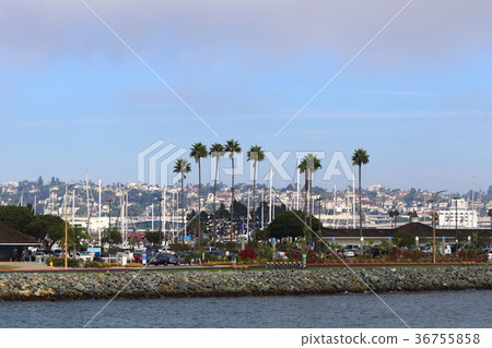 聖地亞哥灣(加利福尼亞州,美國)的景觀 聖地亞哥灣(加利福尼亞州,美國)的景觀 36755858