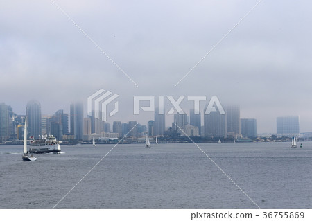 Landscape of San Diego Bay (California, USA) 36755869
