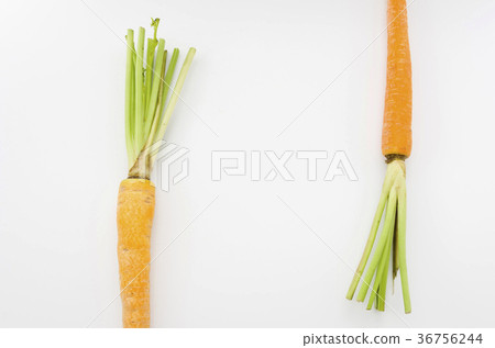 Island carrot 36756244