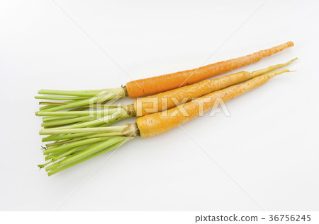 Island carrot 36756245