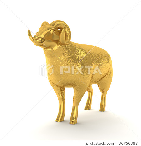 金羊 36756388