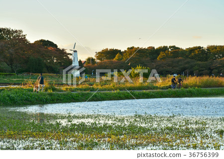 Minuma Nada：景觀與風車 36756399