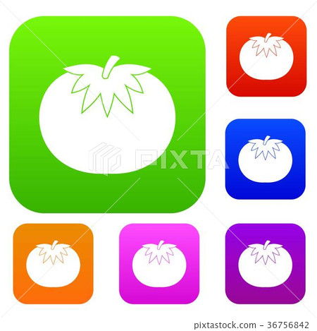 Tomato set collection Tomato set collection 36756842