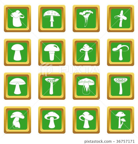 Mushroom icons set green 36757171