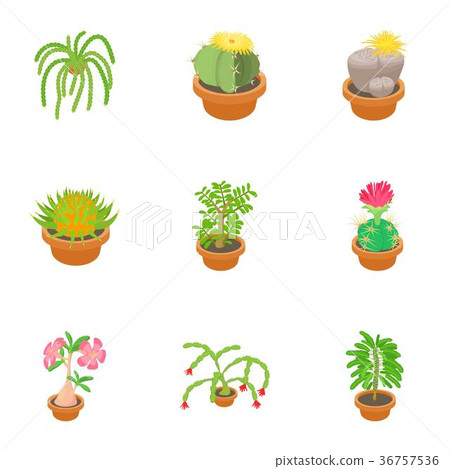 Different flowers icons set, cartoon style 36757536