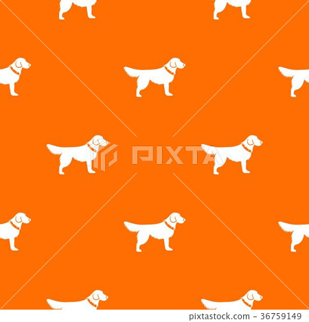 Dog pattern seamless Dog pattern seamless 36759149