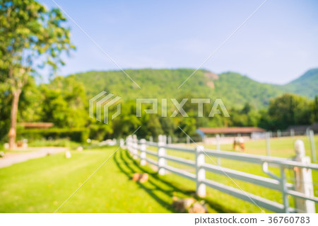 Abstract blur park with green field Abstract blur park with green field 36760783