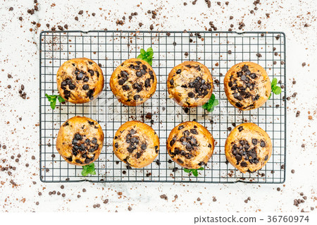 Chocolate chip muffin 36760974