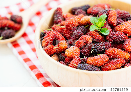 Black mulberry fruit in bowl Black mulberry fruit in bowl 36761359