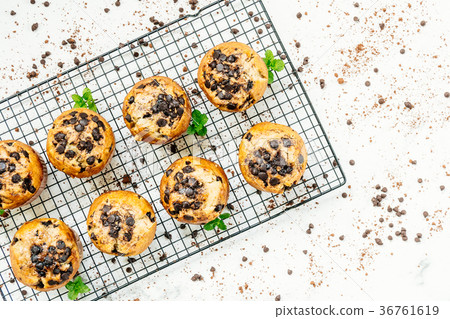 Chocolate chip muffin 36761619