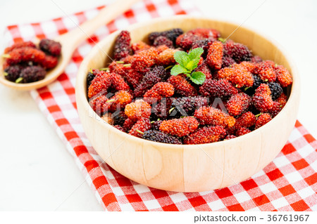 Black mulberry fruit in bowl 36761967