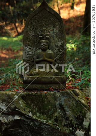 Mt Hiei Autumn leaves Wild Buddha Kyoto Hieisan Colored leaves Kyoto Mt Hiei Autumn leaves Wild Buddha Kyoto Hieisan Colored leaves Kyoto 36763635