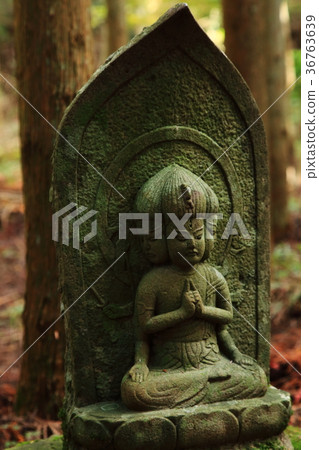 Mt Hiei秋葉野生佛京都Hieisan色葉京都 36763639