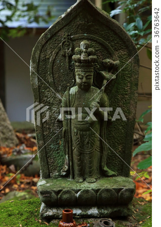 Mt Hiei秋葉野生佛京都Hieisan色葉京都 Mt Hiei秋葉野生佛京都Hieisan色葉京都 36763642