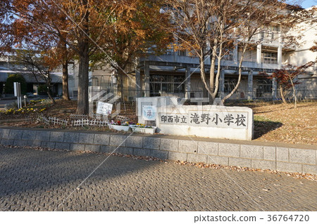 瀧野小學 瀧野小學 36764720