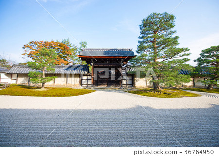 Tenryu-ji garden in Arashiyama 36764950