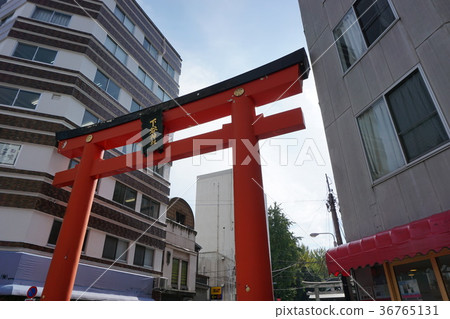 Shimotani Shrine Torii Shimotani Shrine Torii 36765131