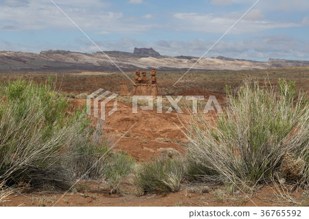 Hoodoos and bushes in Goblin Valley 36765592