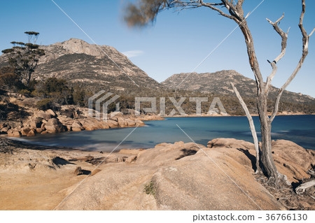 Honeymoon bay in Freycinet National Park Honeymoon bay in Freycinet National Park 36766130