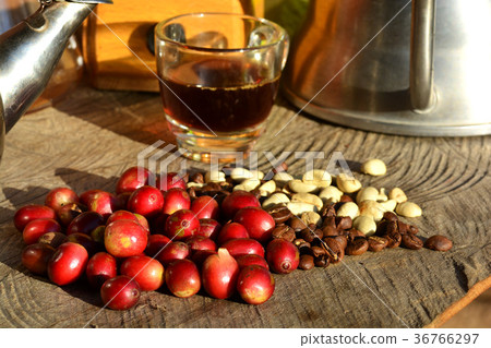 Process of coffee on wooden Process of coffee on wooden 36766297