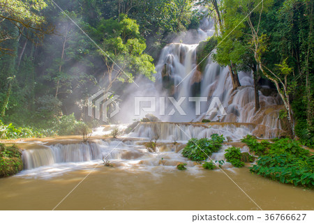 Flash flood in Waterfall at Tat Kuang Si Laos Flash flood in Waterfall at Tat Kuang Si Laos 36766627