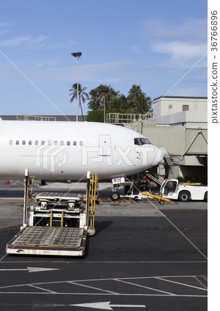 飛機，檀香山國際機場，檀香山，奧阿胡島，夏威夷，美國 36766896