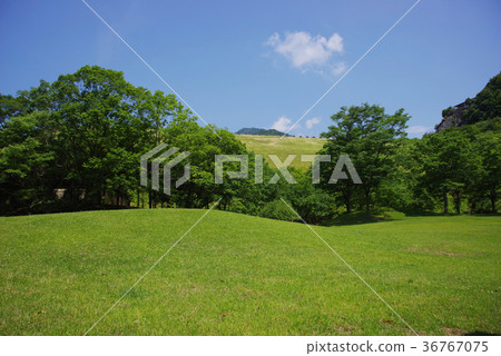 Blue sky and lawn Blue sky and lawn 36767075