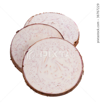 taro roots on white background taro roots on white background 36767229