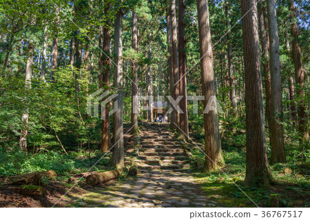 Hiraizumi Temple Hakusan Shrine grounds scenery 36767517