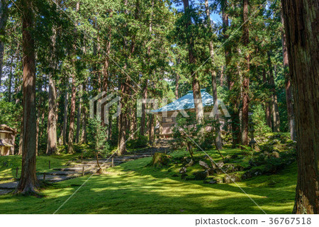 Hiraizumi Temple Hakusan Shrine grounds scenery 36767518