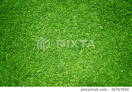green grass texture 36767690