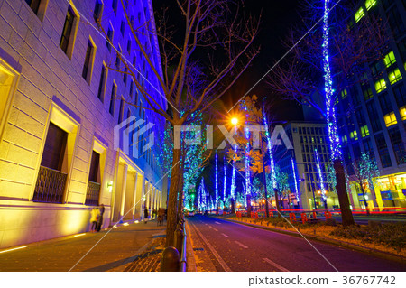 Midosuji illumination OSAKA light's renaissance Midosuji illumination OSAKA light's renaissance 36767742