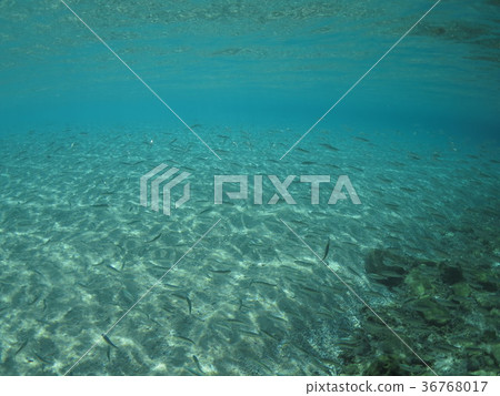沖繩島沖繩島海灘視圖的熱帶海美麗的海南海島夏天淺水區含沙地點地點 沖繩島沖繩島海灘視圖的熱帶海美麗的海南海島夏天淺水區含沙地點地點 36768017