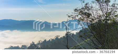 panorama at sea of mist on the hilltop 36768194