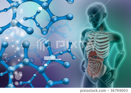 woman female human body woman female human body 36769003