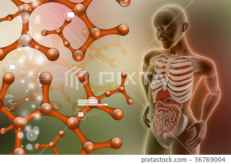 woman female human body 36769004