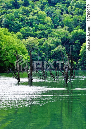 德山湖 德山湖 36769029