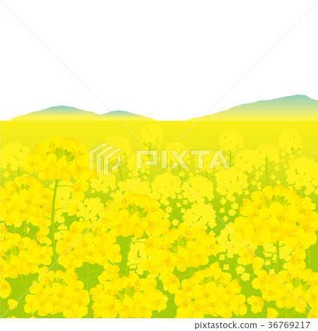 強姦領域背景例證 36769217