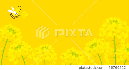 Bee and rape background illustration 36769222