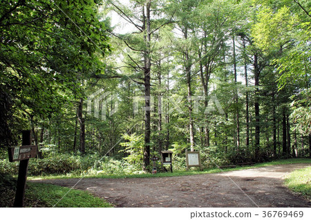 札幌Shirahatayama中央海角風光 36769469