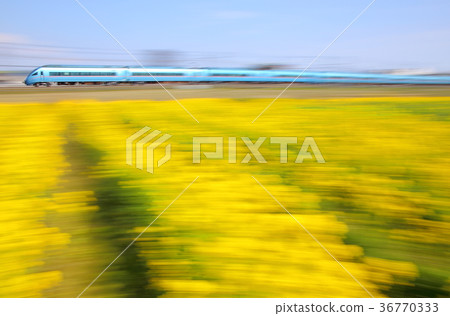 小田急浪漫汽車和強姦開花 36770333