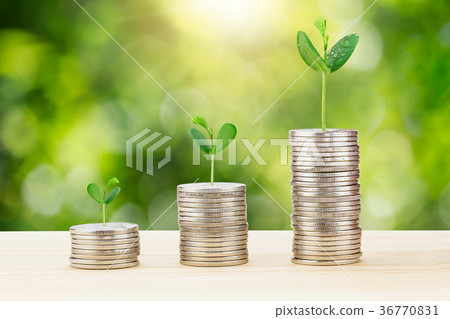 Sprout growing from stack of coins 36770831
