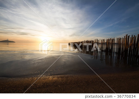 Beautiful sunrise at the beach Beautiful sunrise at the beach 36770834
