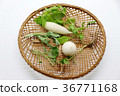 Seven herbs of spring 36771168